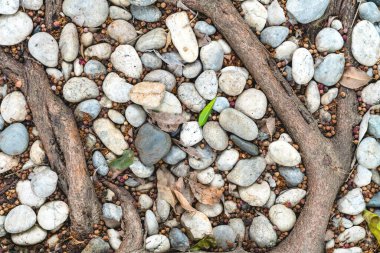 Kök arka planlı gri beyaz çakıl taşı tabanı