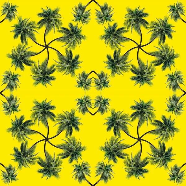 Groene Palmbladeren Patroon Voor Natuurconcept Tropische Kokosboom Geïsoleerd Gele Achtergrond — Stockfoto