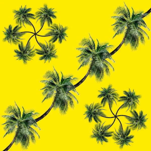 Zöld Pálma Levelek Minta Természet Koncepció Trópusi Kókuszfa Elszigetelt Sárga — Stock Fotó