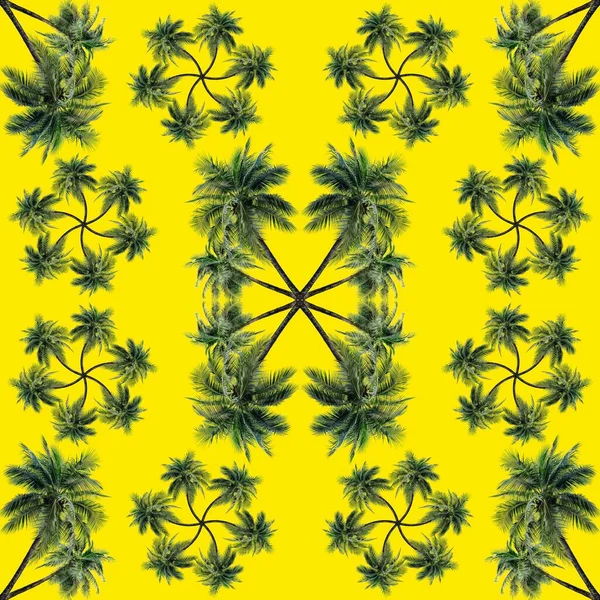 Groene Palmbladeren Patroon Voor Natuurconcept Tropische Kokosboom Geïsoleerd Gele Achtergrond — Stockfoto