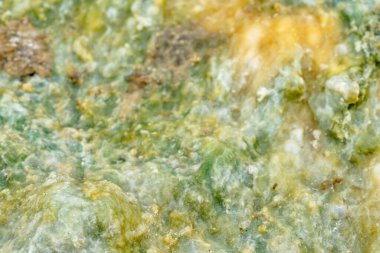 Soyut yakın plan yosun desenli arkaplan