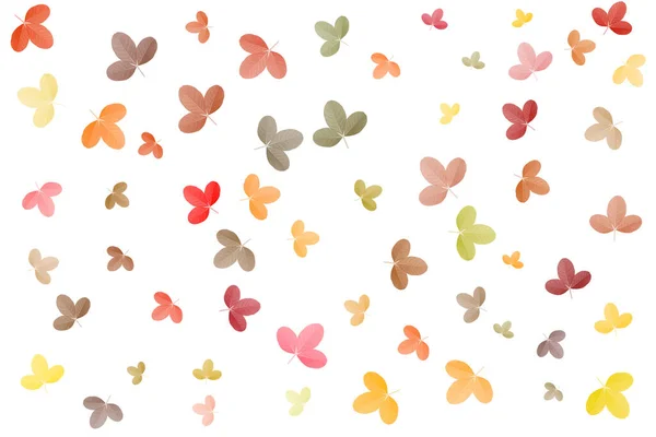 Colorful Leaves Pattern White Background Gradient Color Pastel Autumn Leaf — Stock Photo, Image