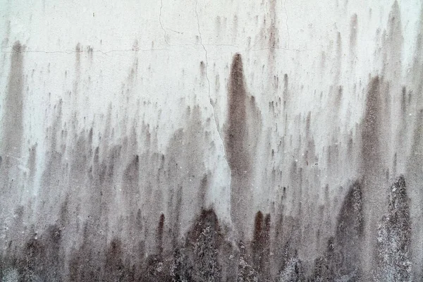 Gris Fond Texture Mur Sale Surface Abstraite Ciment Conception Graphique — Photo