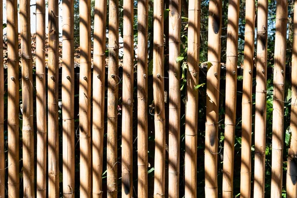 黒い影を持つ乾いた竹のフェンスパターン — ストック写真