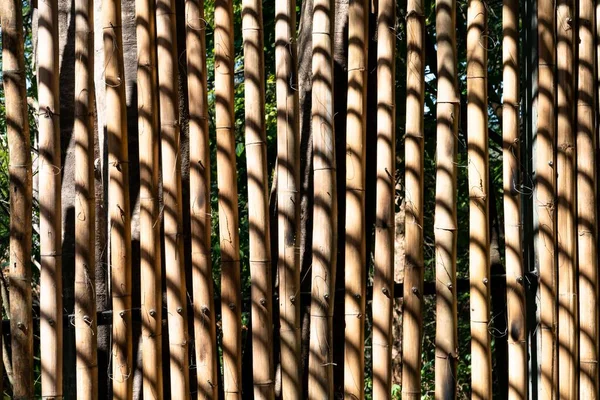Patrón Cerca Bambú Seco Con Sombra Negra —  Fotos de Stock