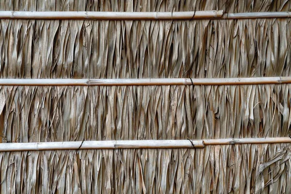 Çatı Duvar Kuru Naylon Palmiye Yapraklarından Yapılmış — Stok fotoğraf