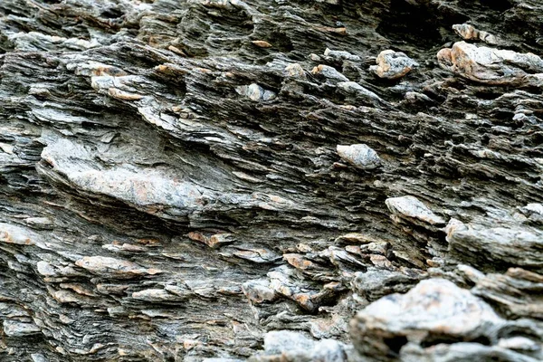 closeup brown igneous rock background