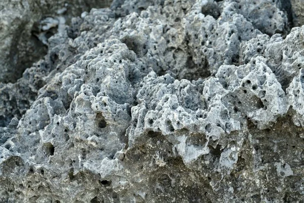 closeup gray igneous rock background