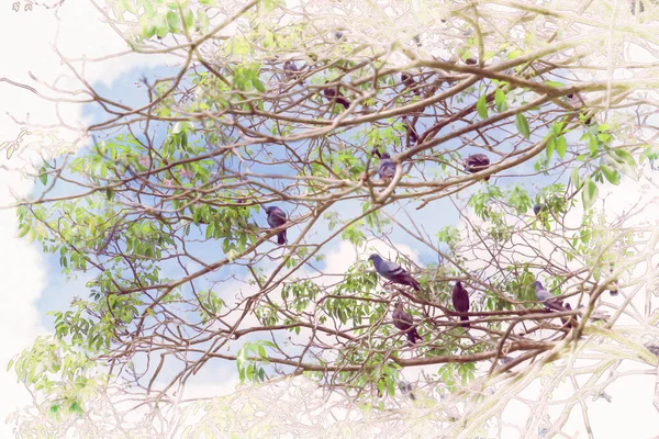 Herd of pigeons on the tree ,watercolor digital painting style