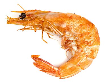 Kızarmış karides, beyaz arka planda izole edilmiş, ızgara karides.