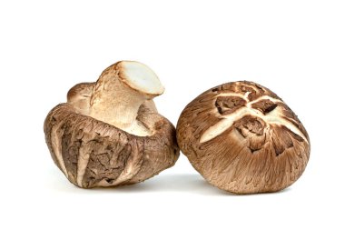 Shiitake Mushrooms isolated on white background  clipart