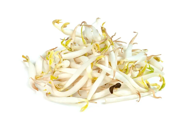 Bean Sprouts Isolated White Background — Stock Photo, Image