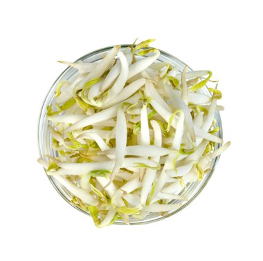 Fasulye filizi ve beyaz arka planda izole edilmiş kase