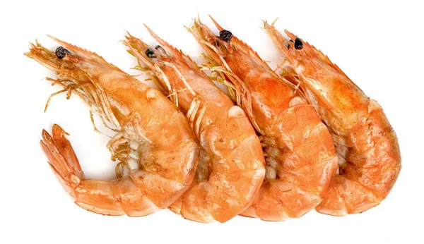 Roasted Prawn Isolated White Background Grilled Shrimp — Stock Photo, Image