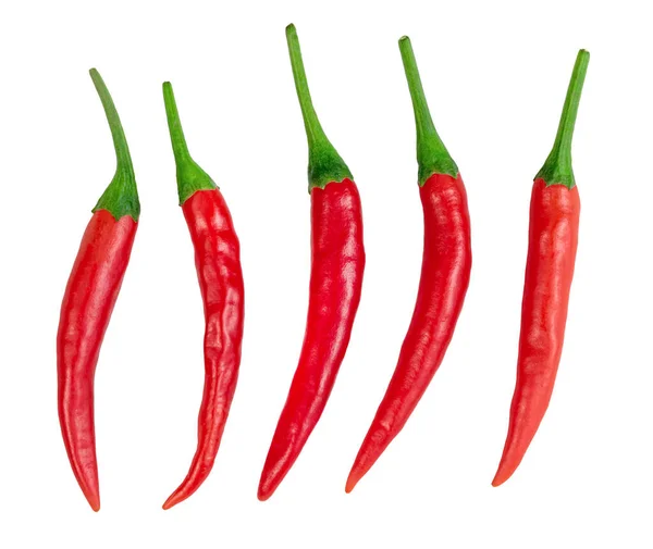 Chili Pepper Isolated White Background — Stock Photo, Image