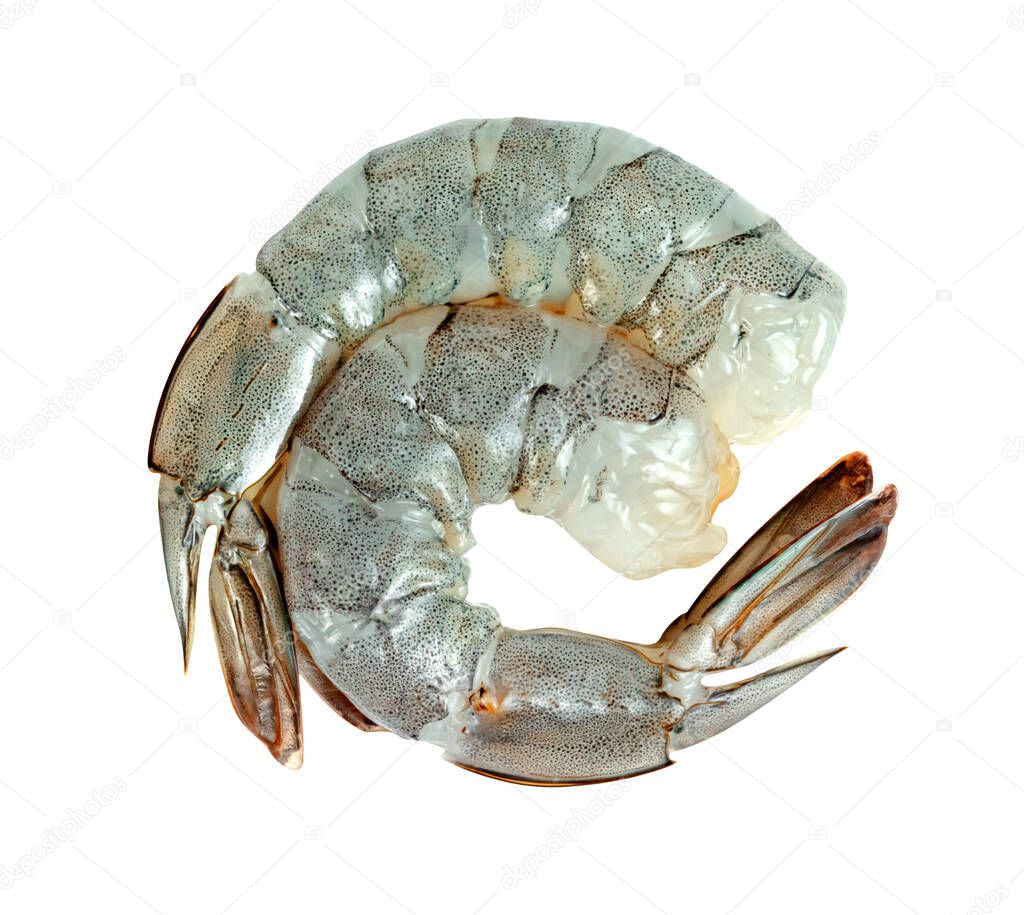 Peeled shrimp raw isolated on white background ,include clipping path