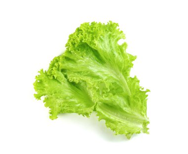 Beyaz arkaplanda marul yaprağı, yeşil yapraklar, salata malzemesi.