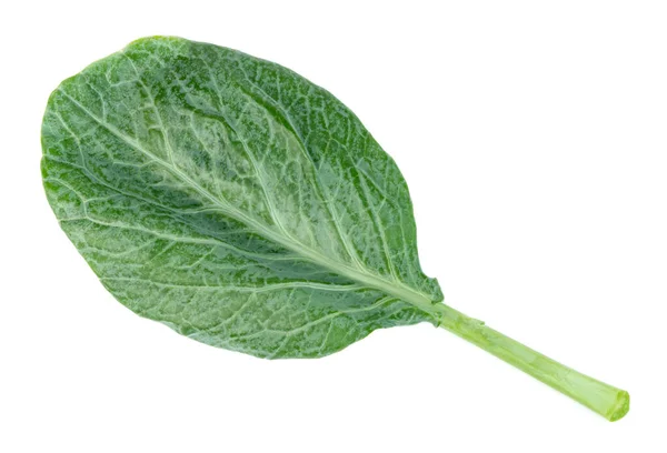 Grünkohl Isoliert Auf Weißem Hintergrund Grüne Blätter Mit Kragenmuster — Stockfoto
