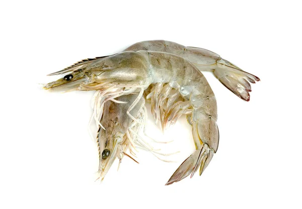 Shrimp Raw Isolated White Background — Stock Photo, Image