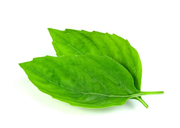 Blatt Frisches Basilikum Isoliert Auf Weißem Hintergrund Grüne Blätter Muster — Stockfoto