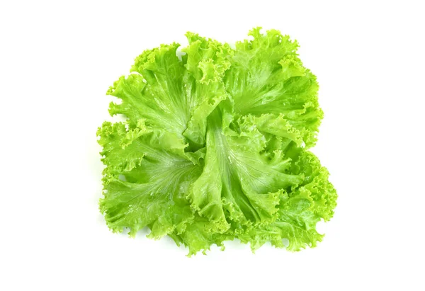 Folha Alface Isolada Fundo Branco Padrão Folhas Verdes Ingrediente Salada — Fotografia de Stock