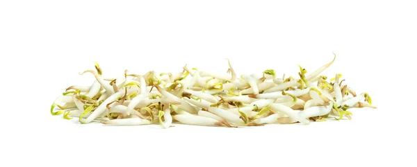 Bean Sprouts Isolated White Background — Stock Photo, Image