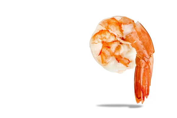 Shrimp Isoliert Auf Weißem Hintergrund — Stockfoto