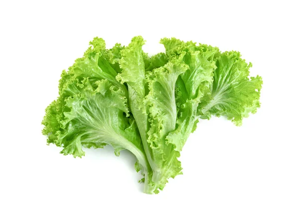 Sla Blad Geïsoleerd Witte Achtergrond Groene Bladeren Patroon Salade Ingrediënt — Stockfoto