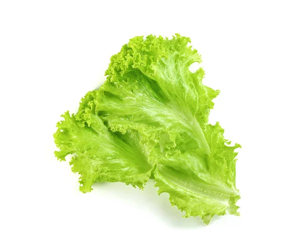 Sla Blad Geïsoleerd Witte Achtergrond Groene Bladeren Patroon Salade Ingrediënt — Stockfoto