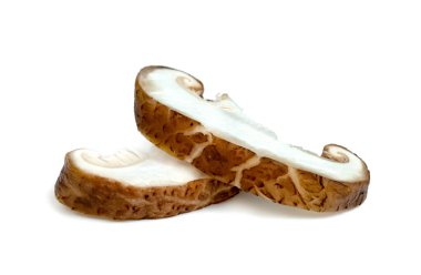 Shiitake mantarları beyaz arka planda izole edilmiş. 