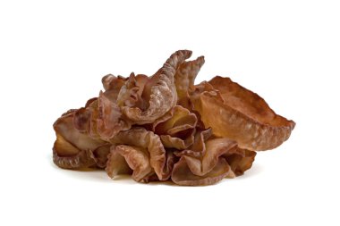 Kulak mantarı ya da Yahudi kulağı beyaz arka planda izole edilmiş.