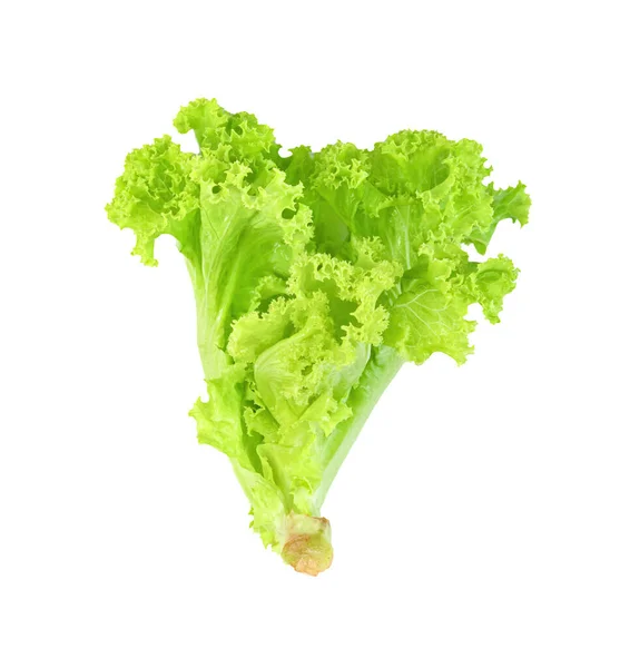Salatblatt Isoliert Auf Weißem Hintergrund Muster Grüner Blätter Salatbestandteil — Stockfoto