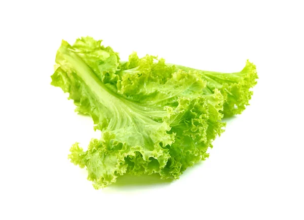 Folha Alface Isolada Fundo Branco Padrão Folhas Verdes Ingrediente Salada — Fotografia de Stock