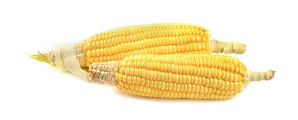 Corn Isolated White Background — Stock Photo, Image