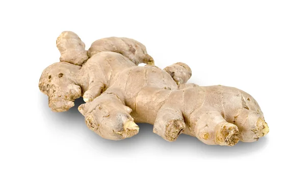 Root Ginger Segar Diisolasi Latar Belakang Putih — Stok Foto