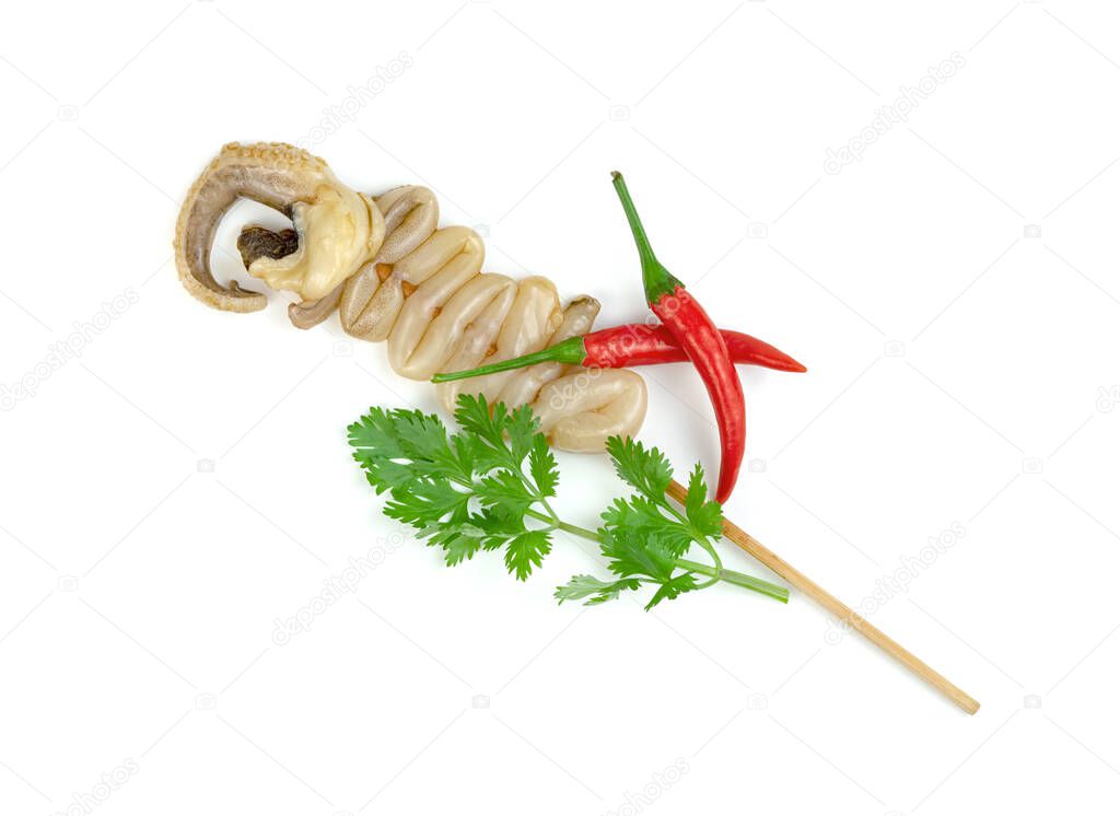 tentacles of squid with skewer isolated on white background