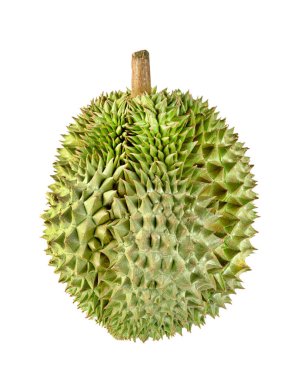 Beyaz arka planda yalıtılmış durian meyvesi, Tayland meyvesi