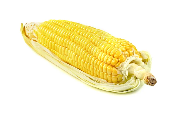 Corn Isolated White Background — Stock Photo, Image