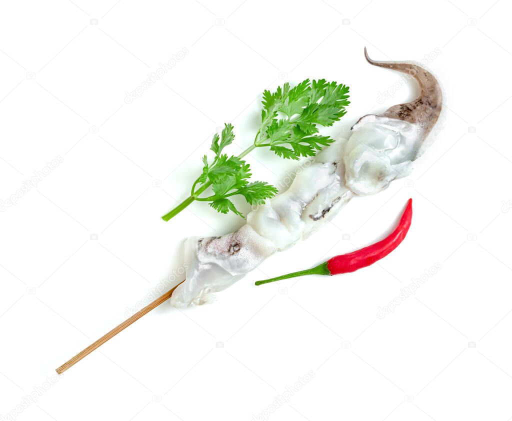 tentacles of squid with skewer isolated on white background