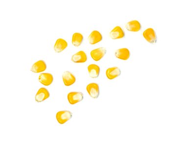 Beyaz arkaplanda izole mısır tohumları 