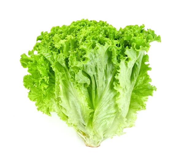 Sla Blad Geïsoleerd Witte Achtergrond Groene Bladeren Patroon Salade Ingrediënt — Stockfoto