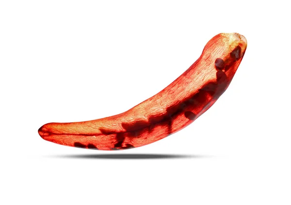 Rode Gemalen Paprika Droge Chili Peper Geïsoleerd Witte Achtergrond Omvatten — Stockfoto