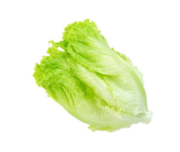 Salladsblad Isolerad Vit Bakgrund Gröna Löv Mönster Sallad Ingrediens — Stockfoto