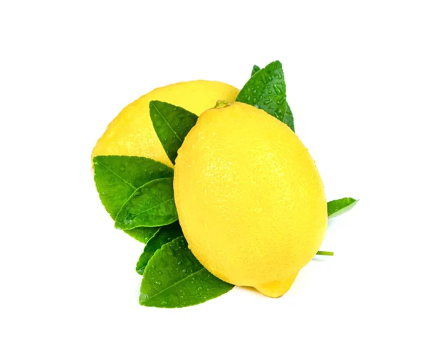 Limão Com Folha Isolada Fundo Branco — Fotografia de Stock