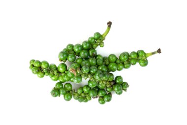 Taze karabiber ya da Piper nigrum Linn beyaz arkaplanda izole edildi 