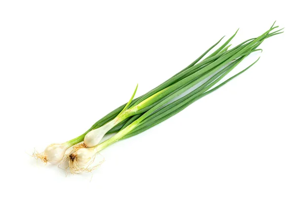 Leaf Spring Onion Isolated White Background Green Leaves Pattern — Stock Photo, Image