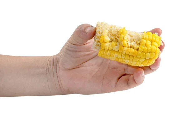 Ручной Захват Кукурузы Изолированы Белом Фоне Включают Обрезку Пути — стоковое фото
