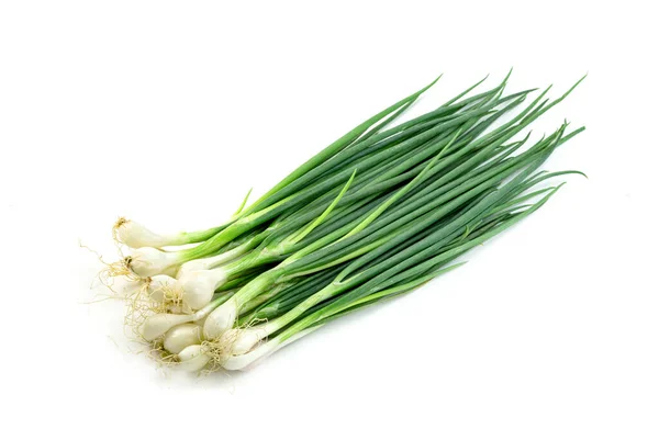 Leaf Spring Onion Isolated White Background Green Leaves Pattern — Stock Photo, Image