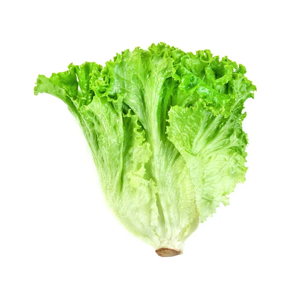 Sla Blad Geïsoleerd Witte Achtergrond Groene Bladeren Patroon Salade Ingrediënt — Stockfoto