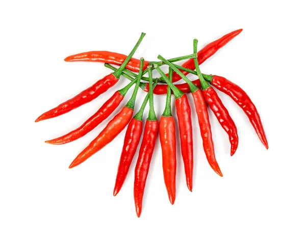 Červená Chilli Paprika Izolované Bílém Pozadí — Stock fotografie